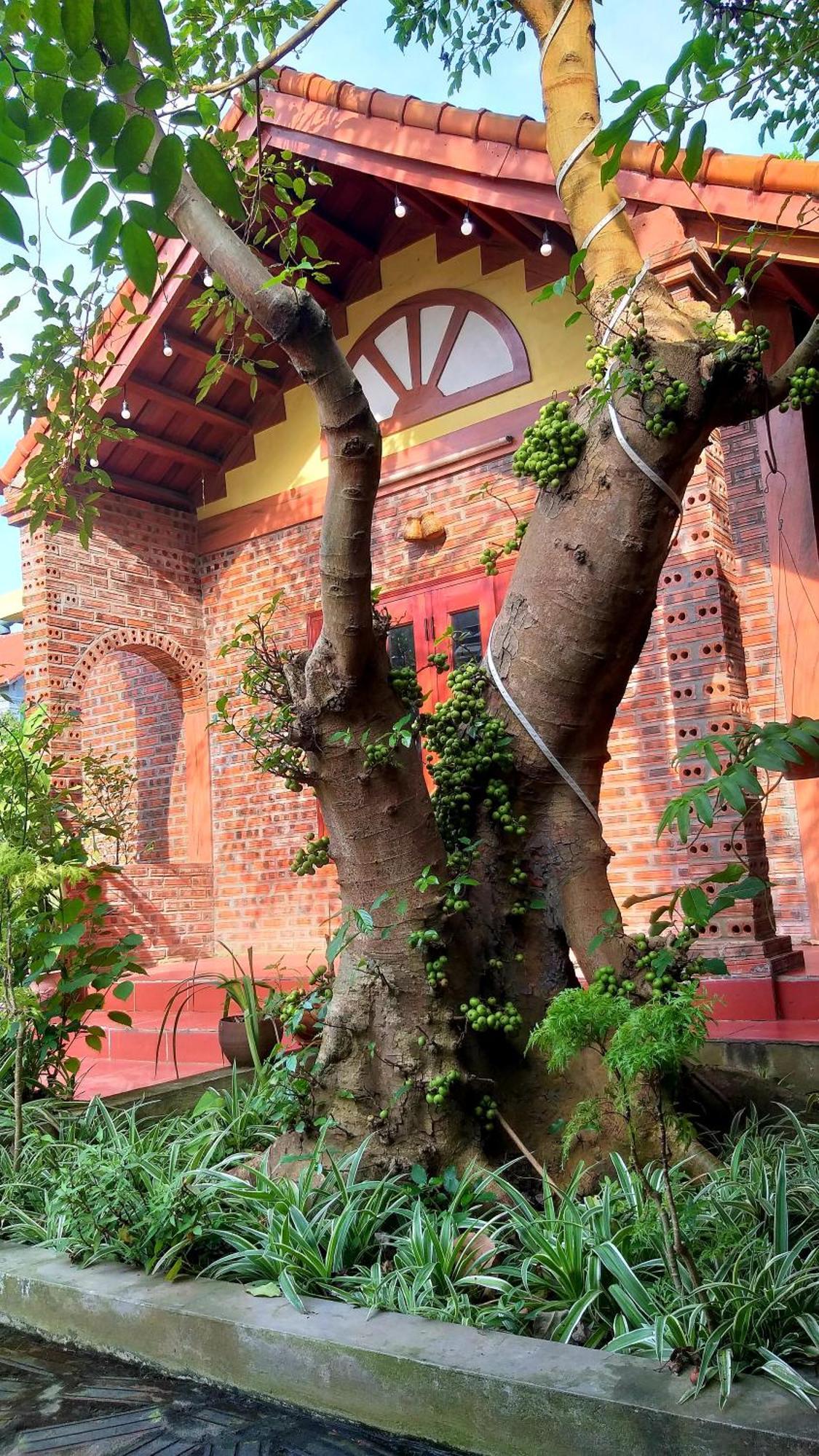 Tam Family Homestay Ninh Binh Luaran gambar