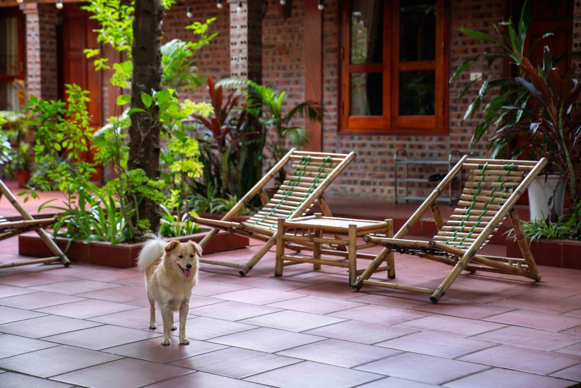 Tam Family Homestay Ninh Binh Luaran gambar